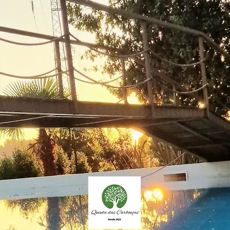 Daire Quinta Carboncas *