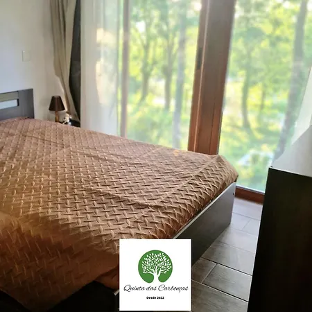 Quinta Carboncas 파페