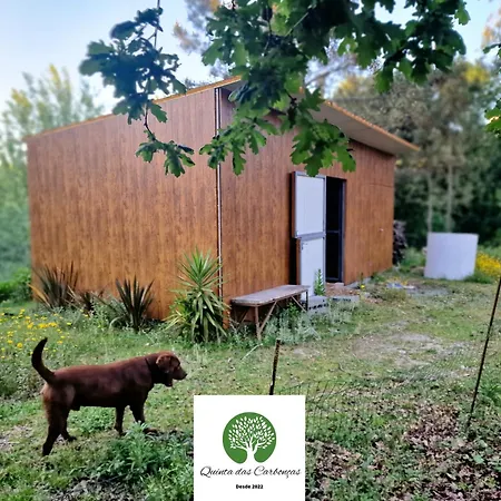 Daire Quinta Carboncas Fafe