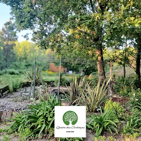 Quinta Carboncas