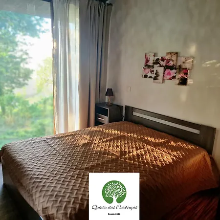 Quinta Carboncas 파페