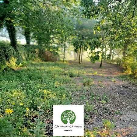 아파트 Quinta Carboncas