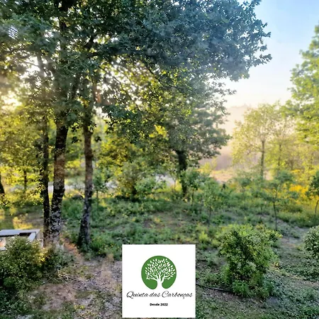 Quinta Carboncas