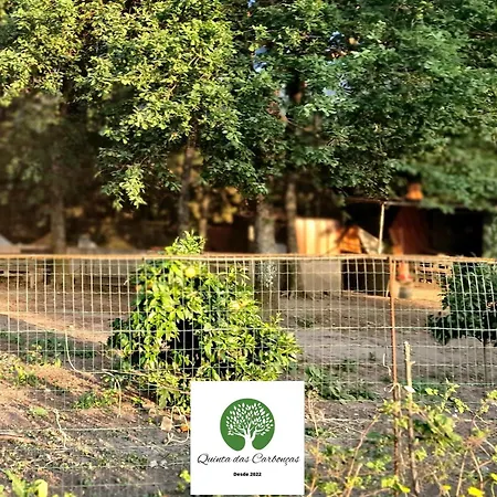 Daire Quinta Carboncas Fafe