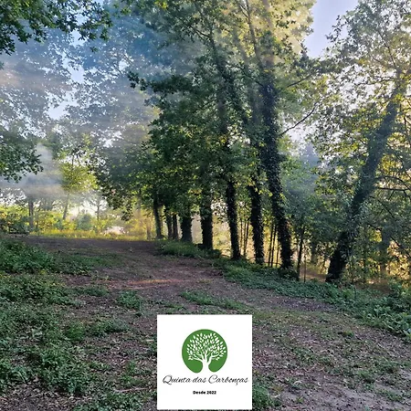 Quinta Carboncas 파페