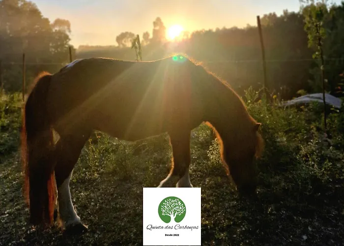 شقة Quinta Carboncas *