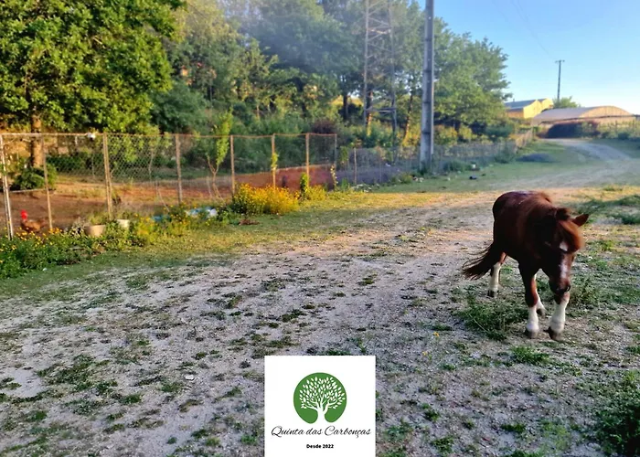 Quinta Carboncas