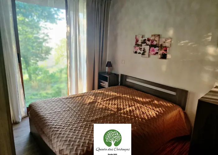 Quinta Carboncas فافي