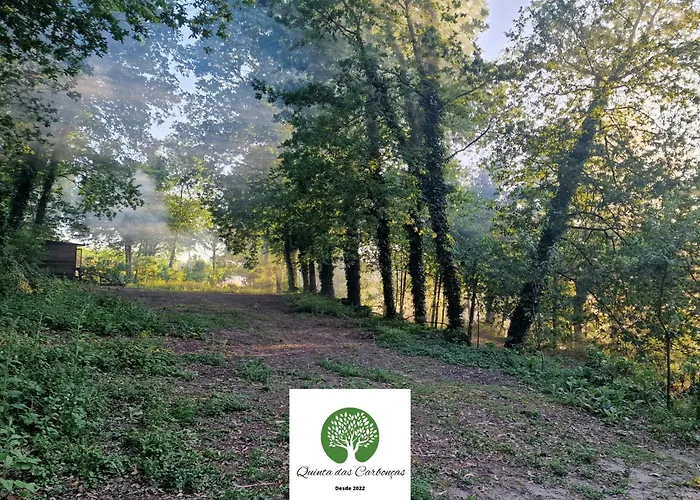 Quinta Carboncas فافي